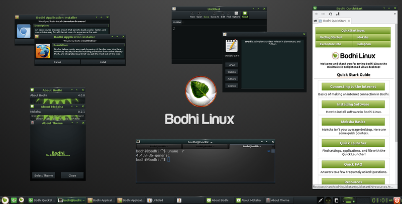 800px-Bodhi-2016-10-29.png